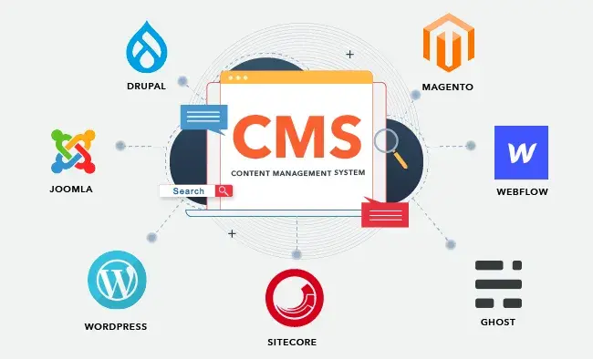 WordPress CMS development services