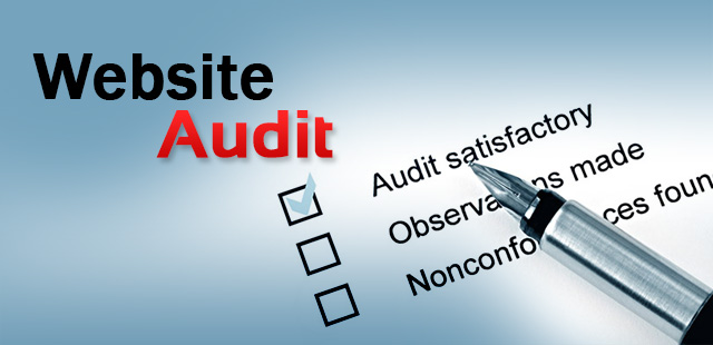 Website Audit
